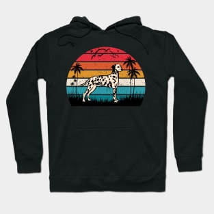 Vintage Retro Sunset Art Of Zoo Hoodie